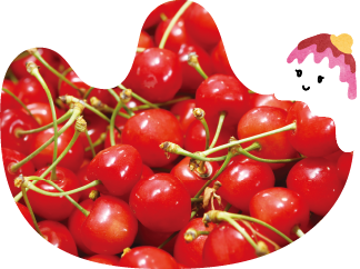 山辺町のさくらんぼ