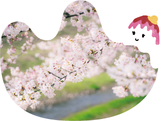 山辺町のさくら