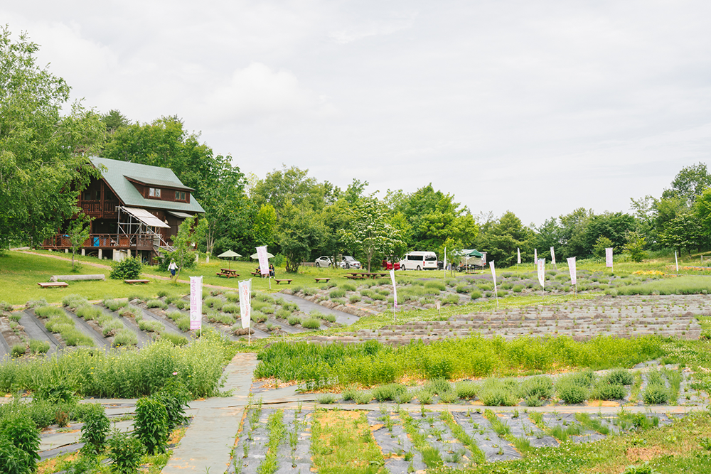 山辺町玉虫沼農村公園（かおりの広場）