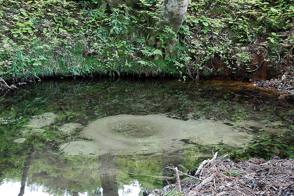 五番御神酒（ごばんみき）湧水泉