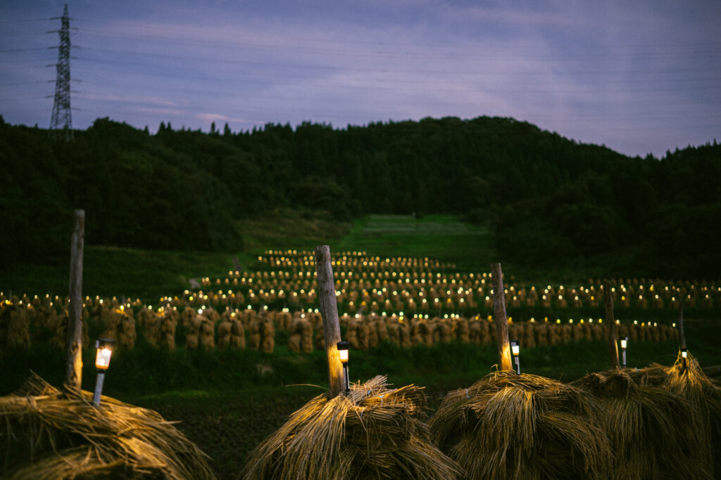 大蕨の棚田ライトアップ