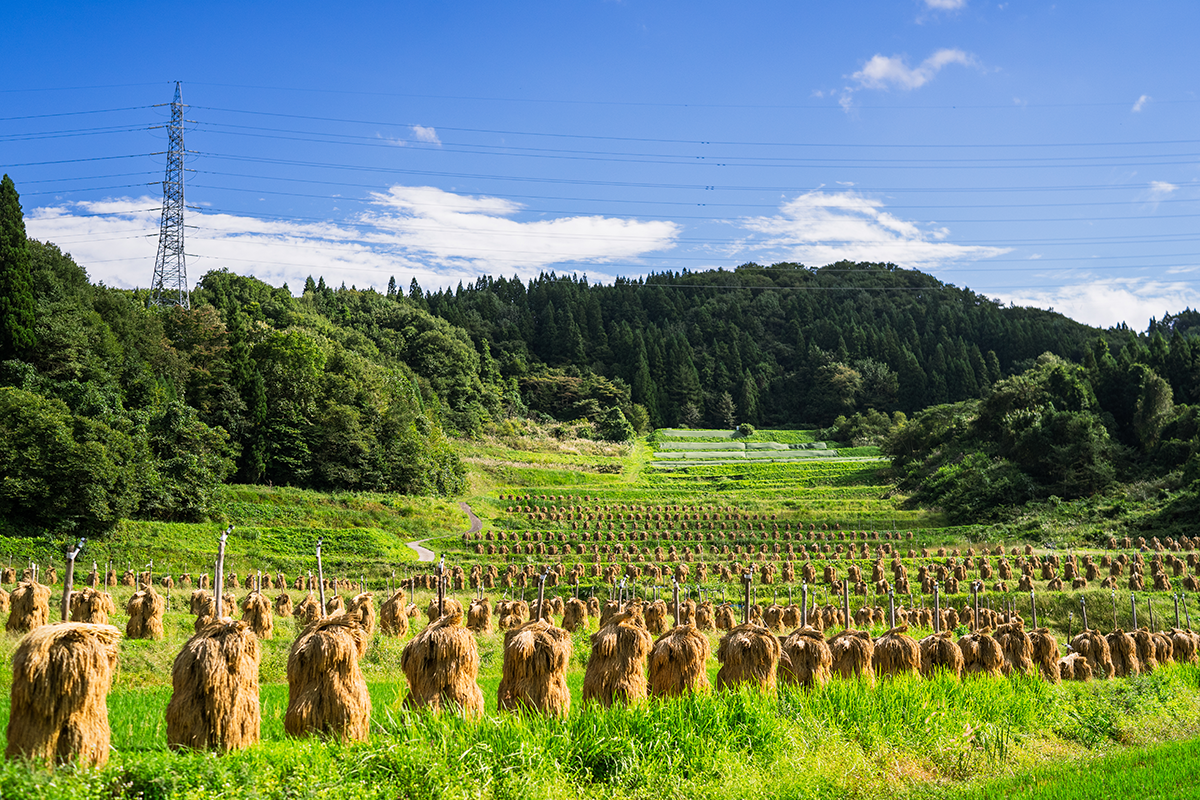 山辺町の風景