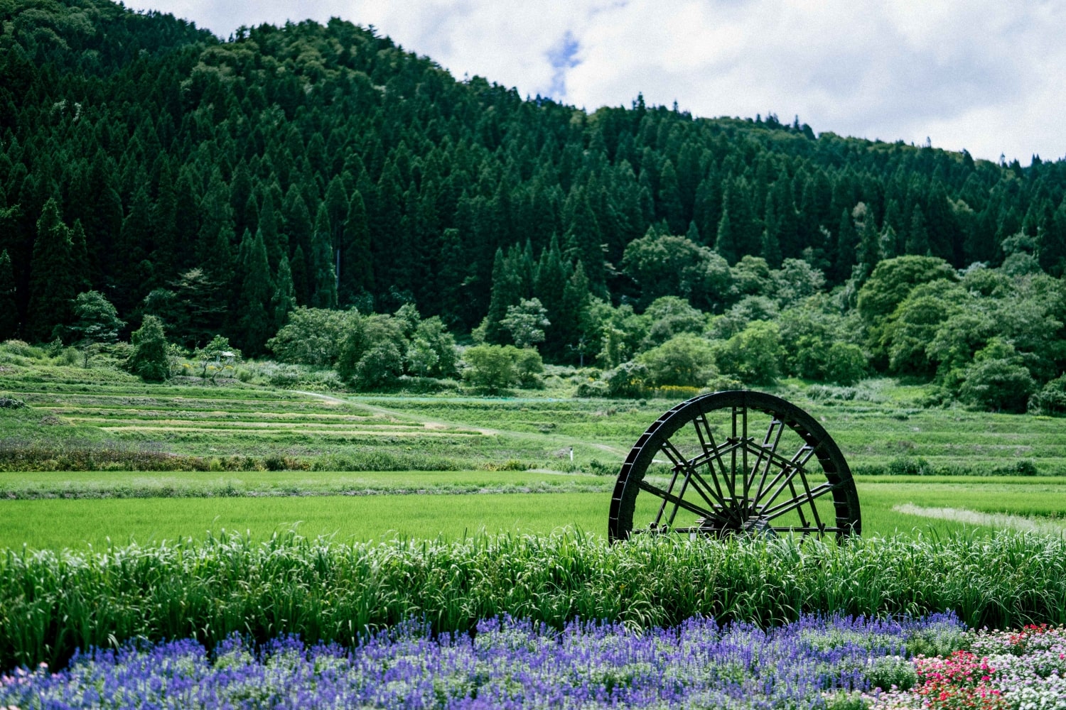山辺町の風景