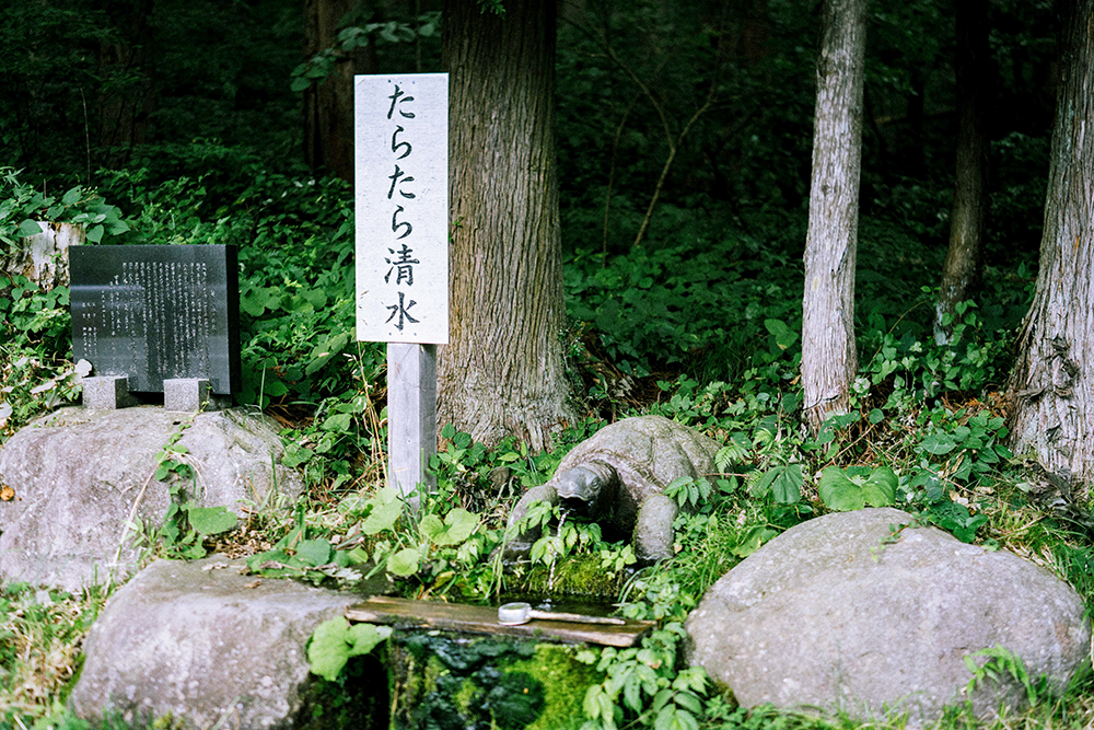 亀ノ子（湧水）