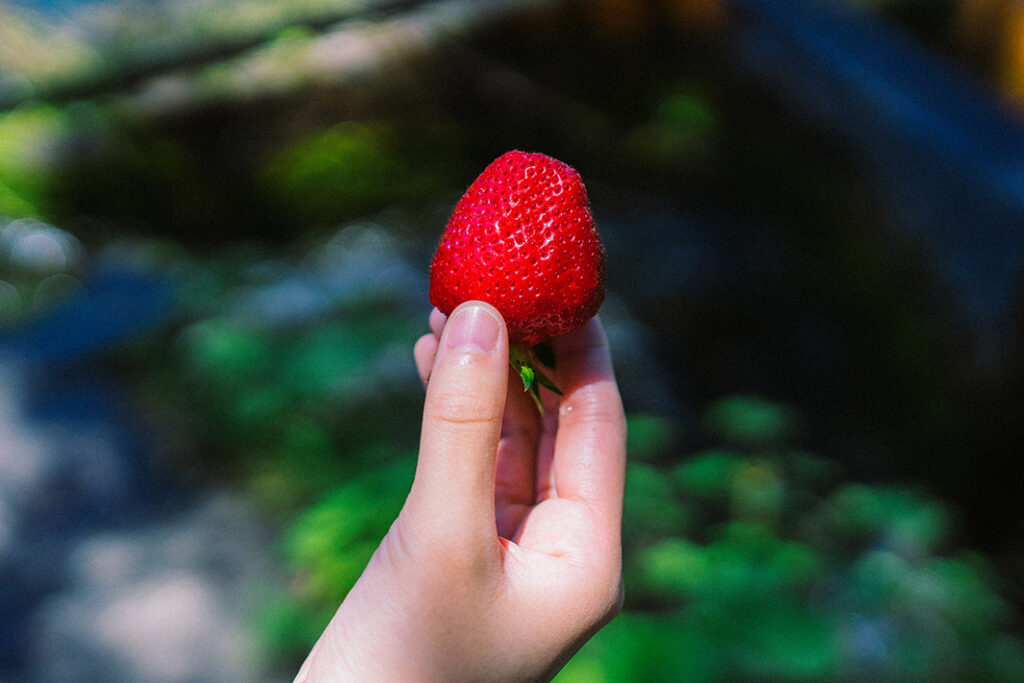 サマーティアラ