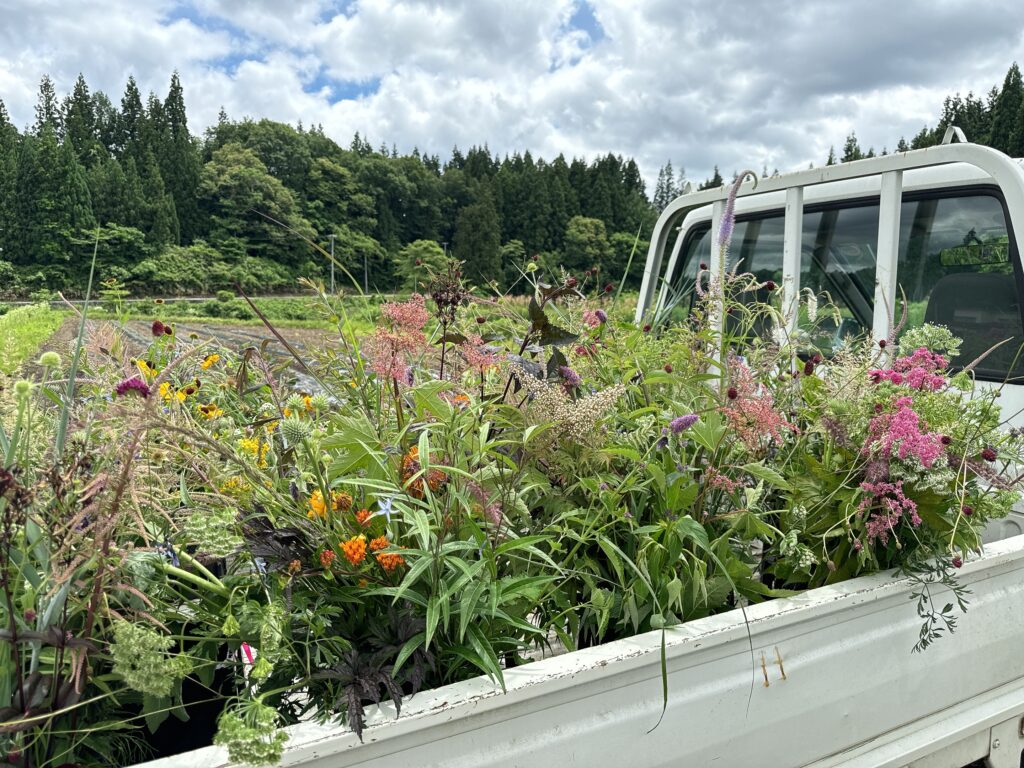 「花畑ワークショップ」を開催しました！