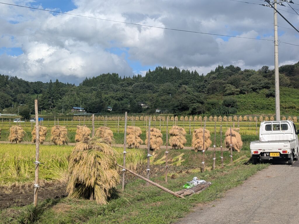 「大蕨の棚田」