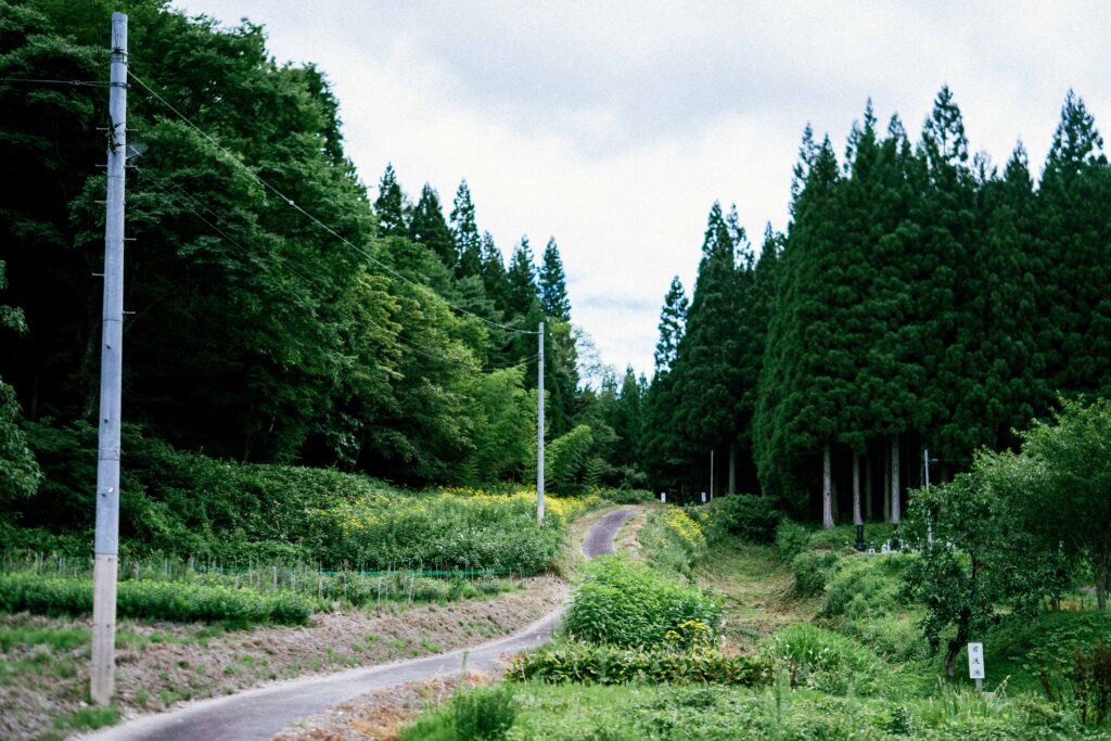 畑谷城址ガイドについて