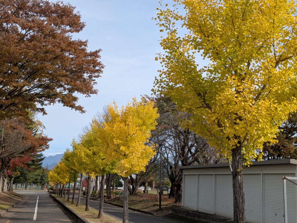山辺町「中央公園」